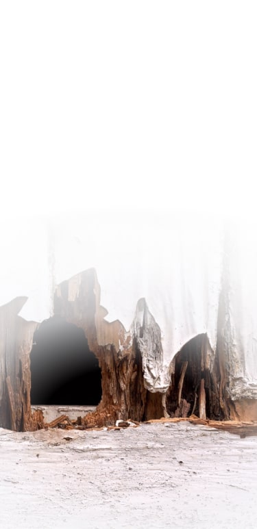 Caves
