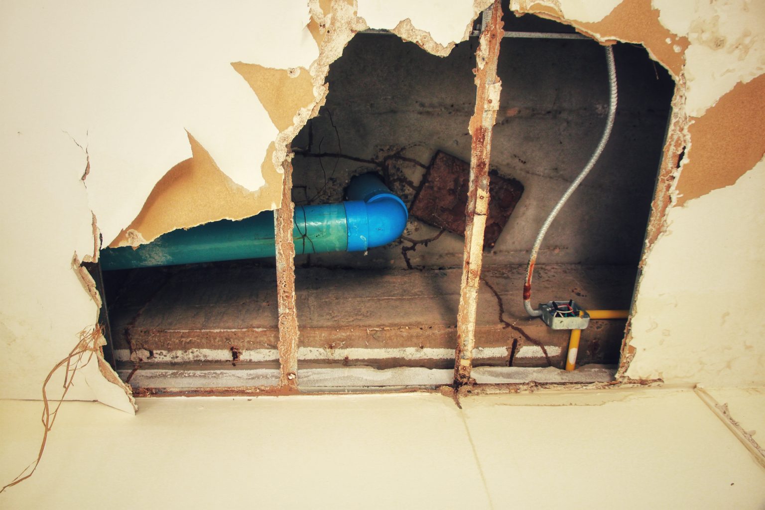 How Dangerous Is Dry Rot? | GotRot