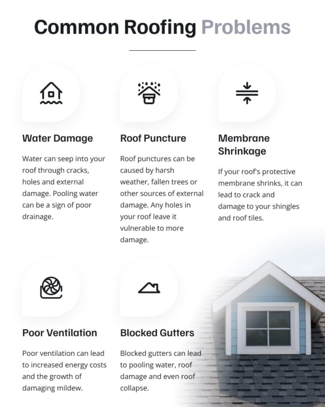 Picture Illustrating Common Roofing Problems