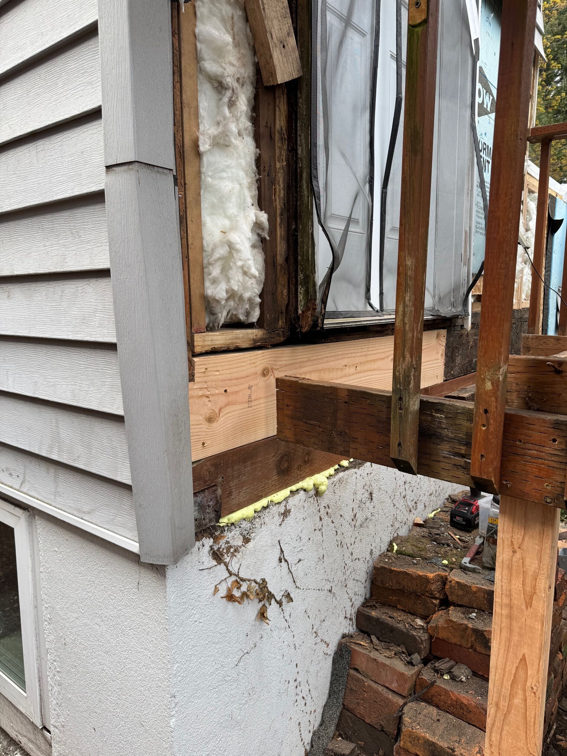 Wood wall infested with termites
