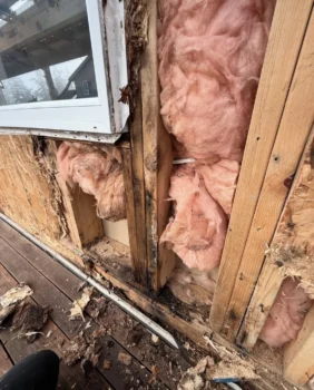 Frame Rot Picture