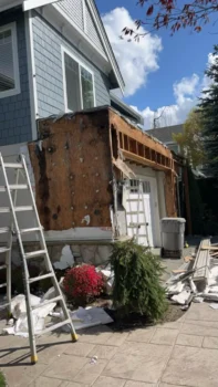 Frame Rot Picture