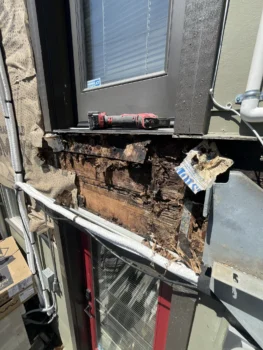 Frame Rot Picture