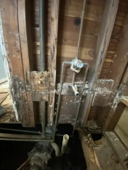 Frame Rot picture