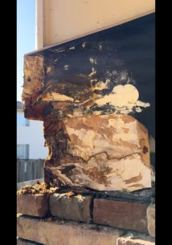Frame Rot Picture