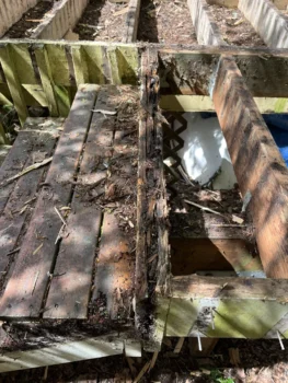 Frame Rot Picture